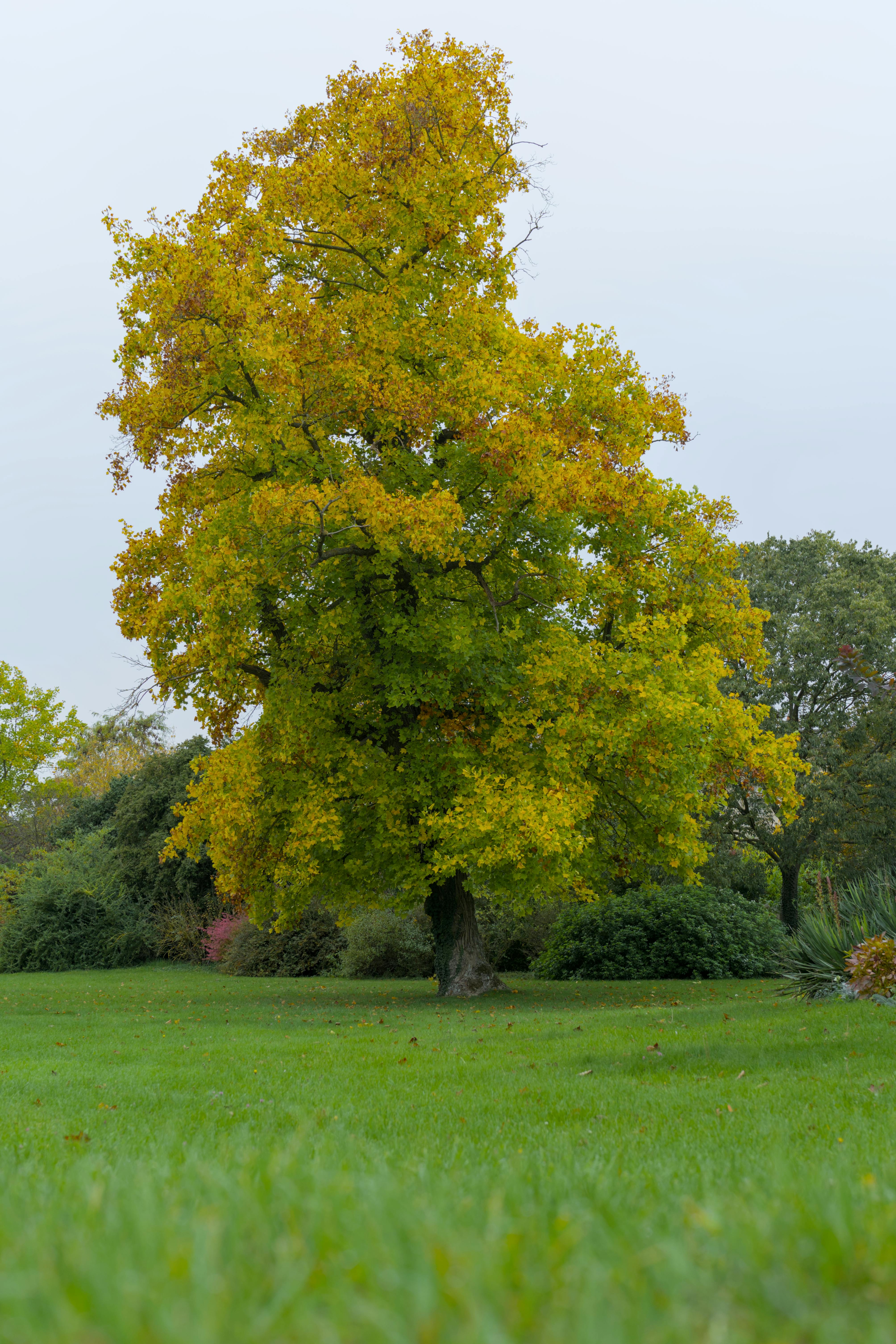 Protéger & Transmettre